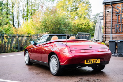 Alfa Romeo Spider 24