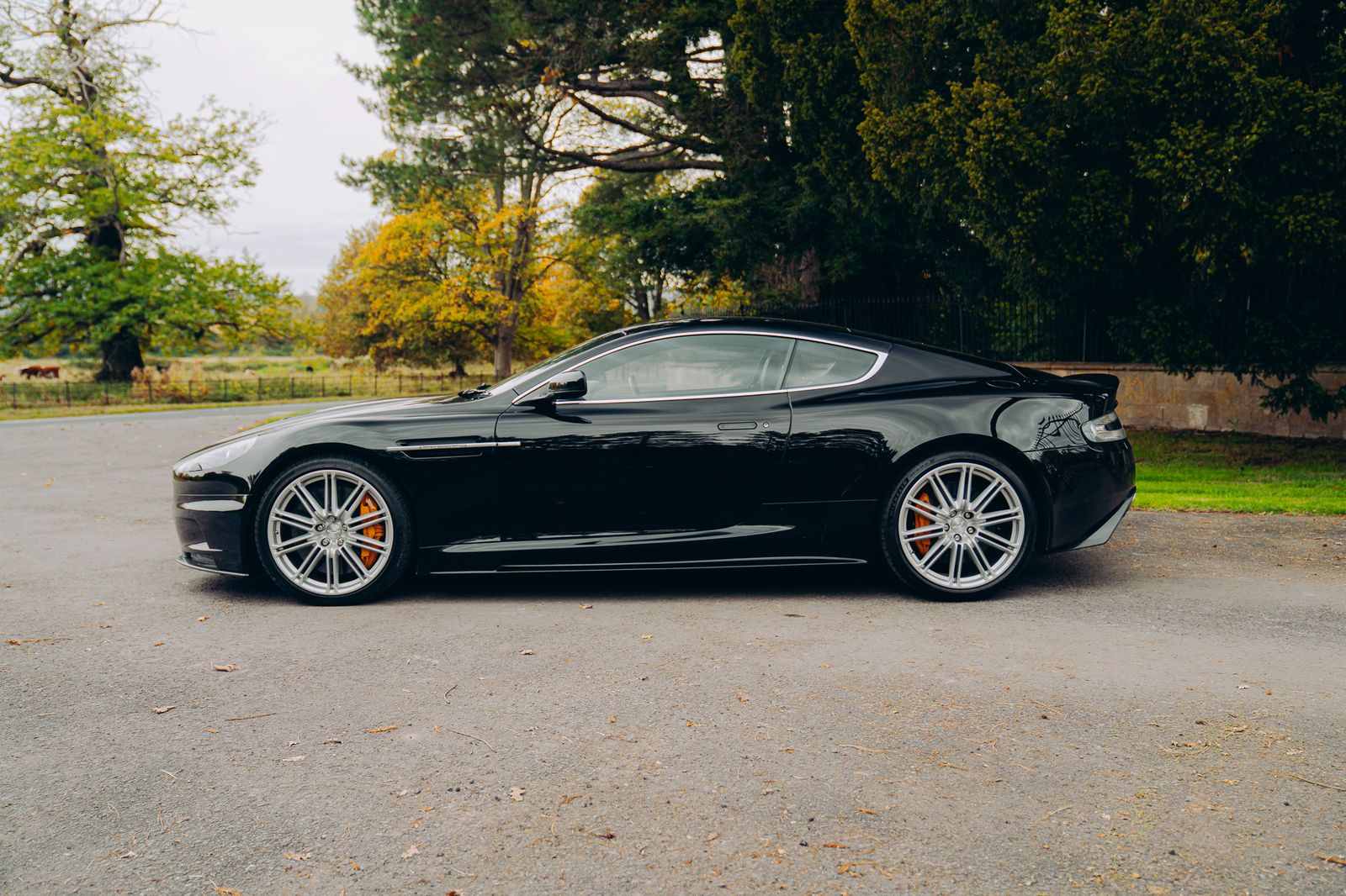 Aston Martin DBS