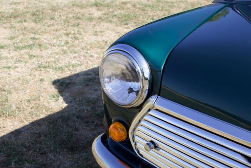 Austin Mini 33