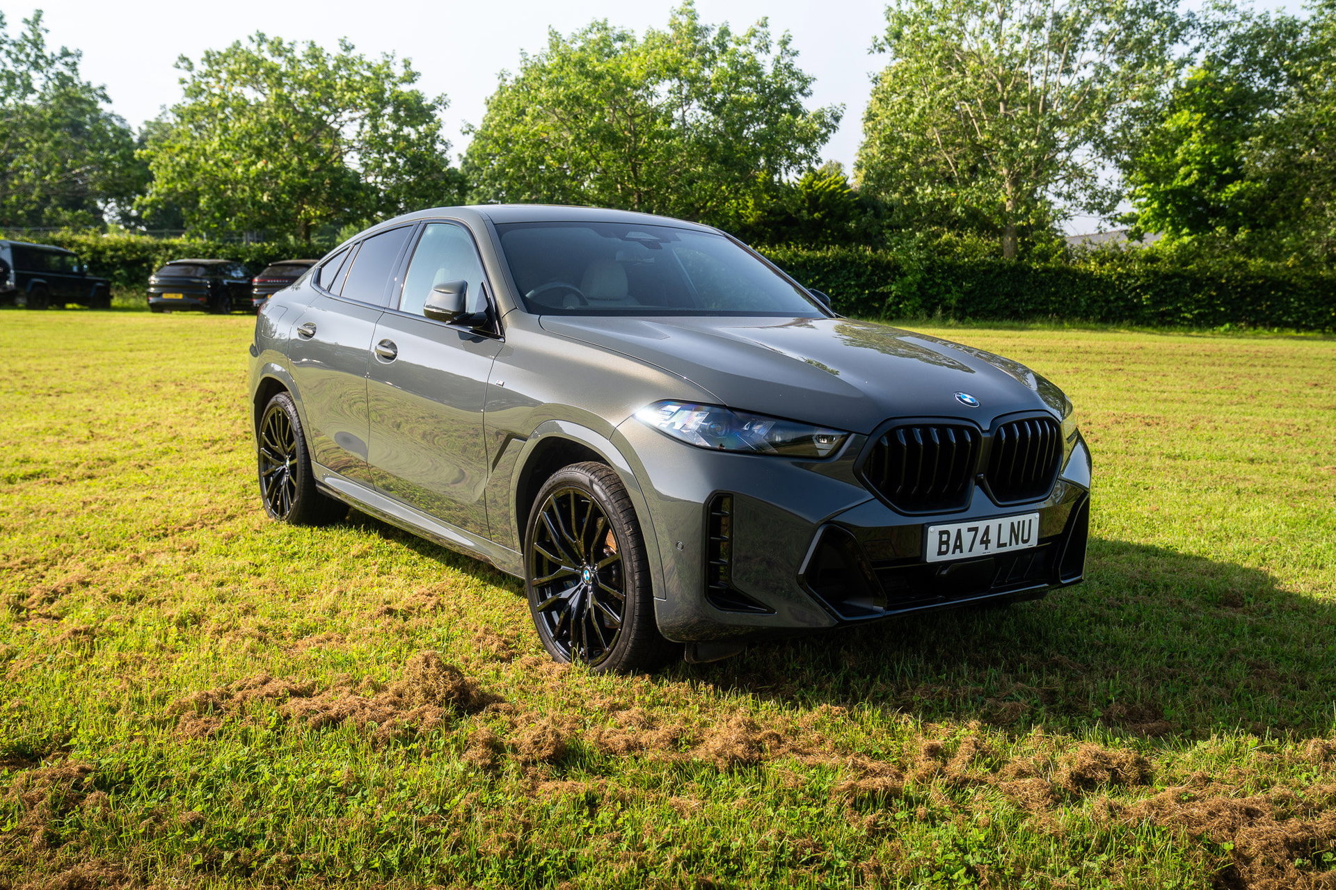 BMW X6