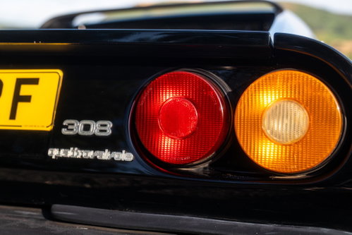 Ferrari 308 11