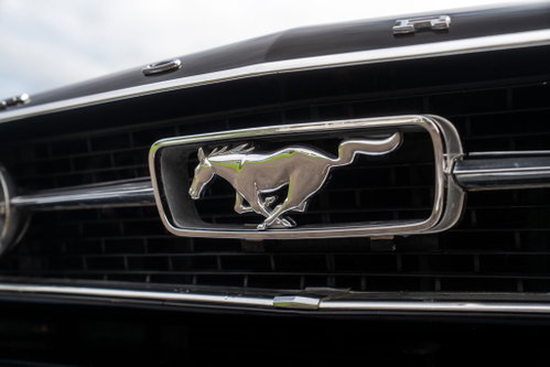 Ford Mustang 6