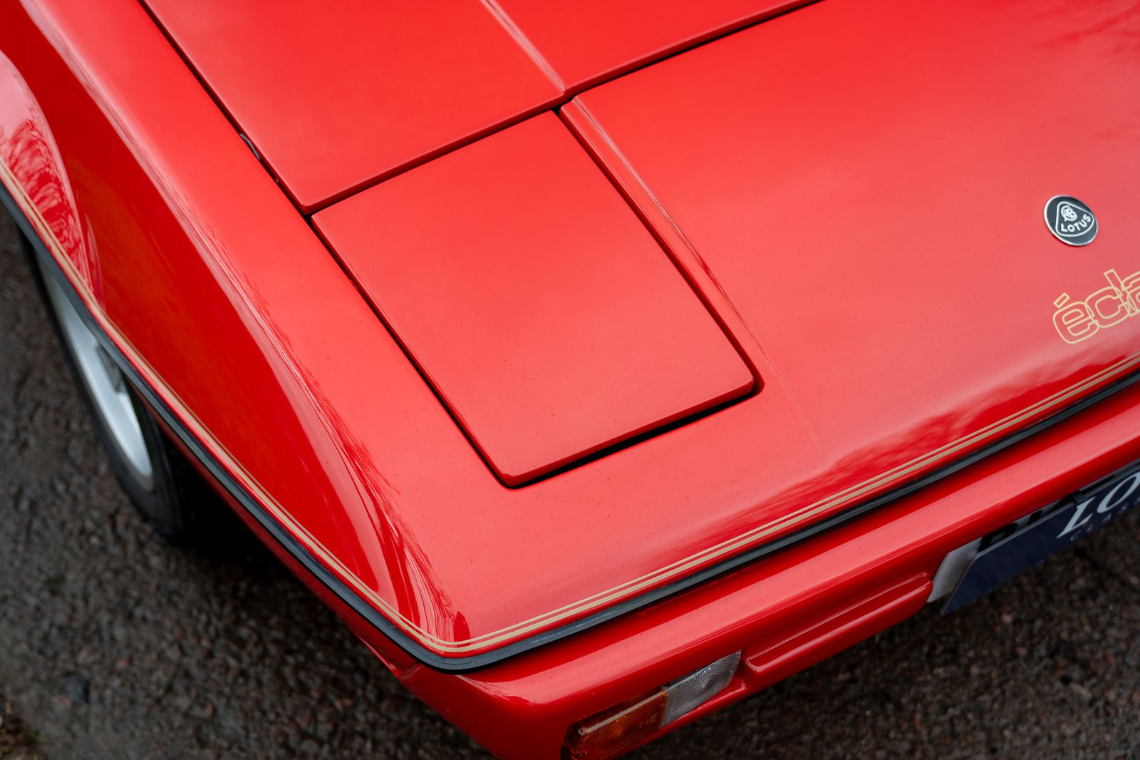 Lotus Eclat