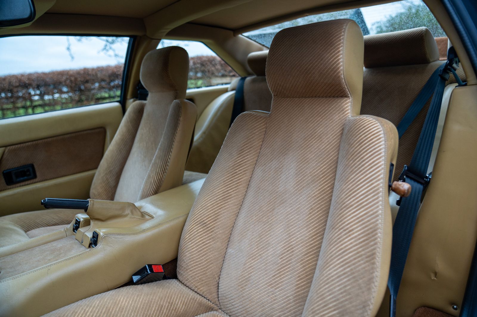 Lotus Eclat