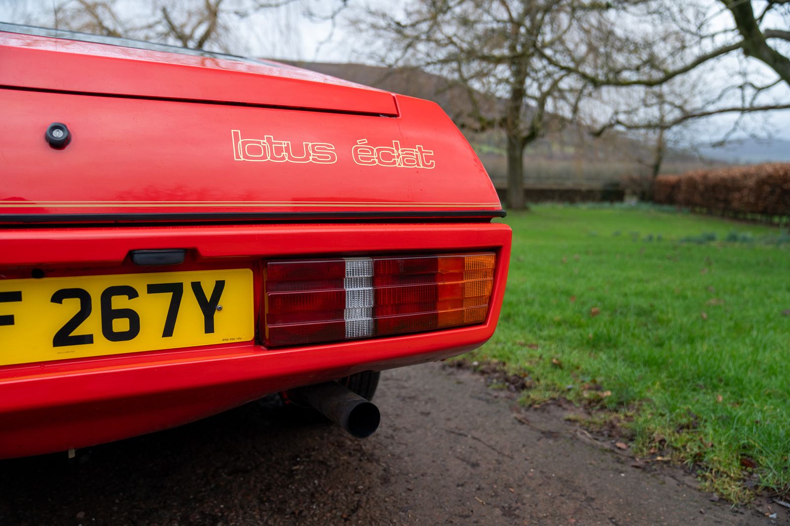 Lotus Eclat