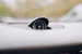 Mercedes-Benz SLC 2.0L 300 AMG Line Auto Convertible 2dr Petrol Automatic Euro 6 (241 bhp) 2dr Automatic 2016