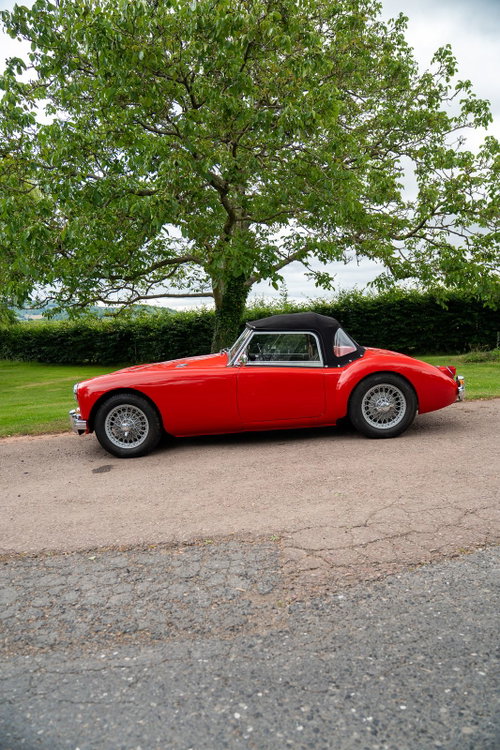 MG Roadster 14