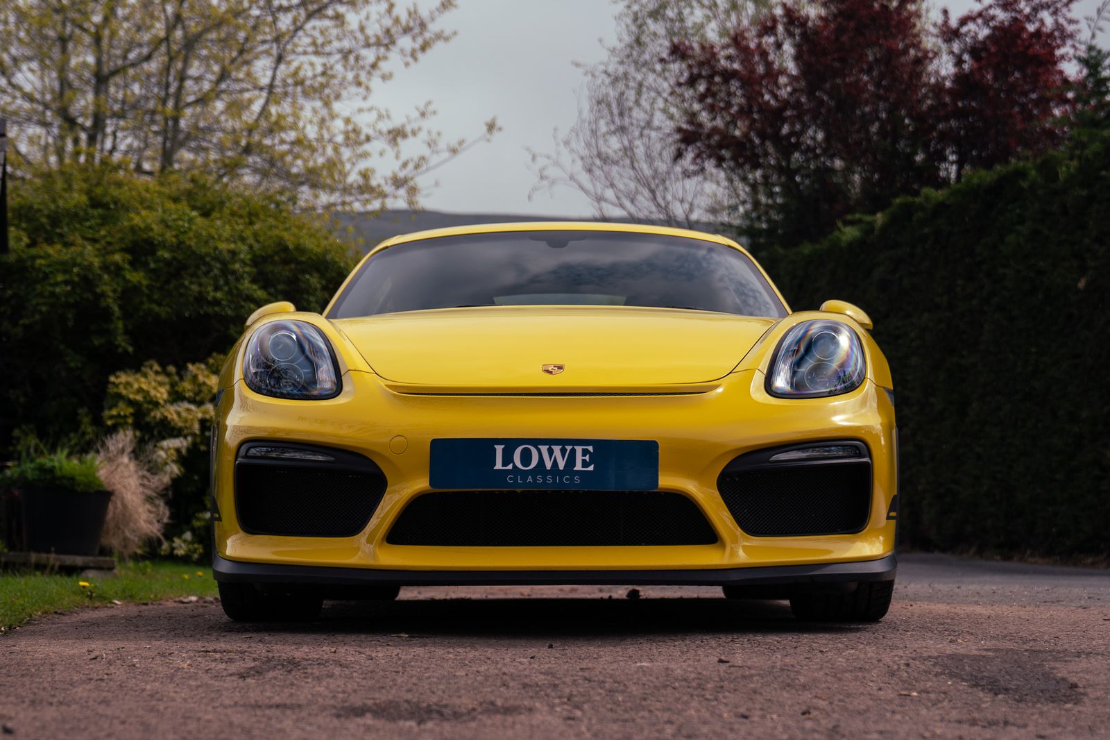 Porsche Cayman
