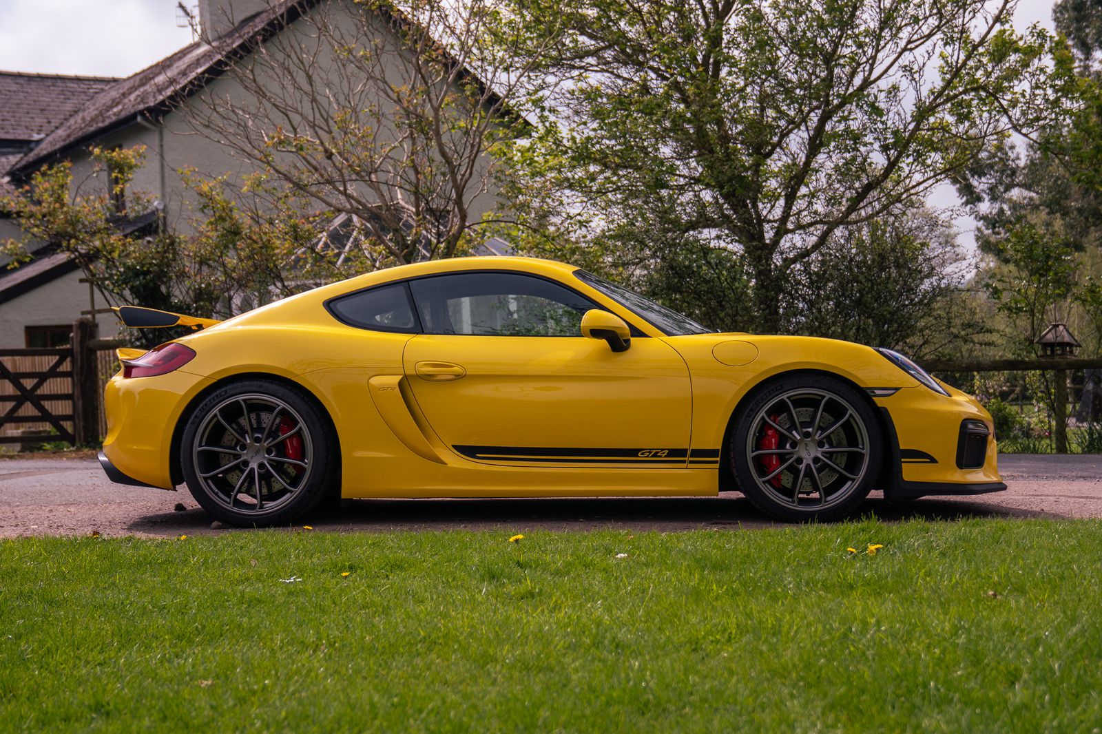 Porsche Cayman