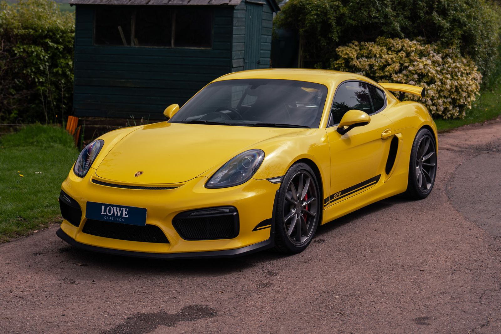 Porsche Cayman