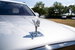Rolls-Royce Cullinan 6.75 V12 SUV 5dr Petrol Auto 4WD Euro 6 (563 bhp) 5dr Automatic 2022