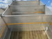 Isuzu Forward N55.150 TIPPER 2dr Manual 2021