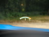 BMW M4 3.0 BiTurbo GPF Competition Coupe 2dr Petrol DCT Euro 6 (s/s) (450 ps) 2dr Automatic 2026