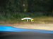 BMW M4 3.0 BiTurbo GPF Competition Coupe 2dr Petrol DCT Euro 6 (s/s) (450 ps) 2dr Automatic 2019