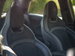 MINI Hatch 2.0 John Cooper Works Hatchback 3dr Petrol Manual Euro 6 (s/s) (231 ps) 3dr Manual 2021