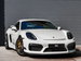 Porsche Cayman 3.8 981 GT4 Coupe 2dr Petrol Manual Euro 6 (385 ps) 2dr Manual 2015