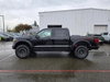 Ford F-150 RAPTOR  4dr Automatic 2026