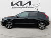 Kia Niro 1.6 GDi HEV 4 5dr Automatic 2025