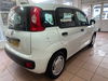 Fiat Panda POP 5dr Manual 2025