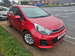 Kia Rio 1.25 SR7 Hatchback 5dr Petrol Manual Euro 6 (84 bhp) 5dr Manual 2016