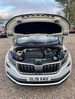 Skoda Kodiaq 2.0 TDI SE L DSG Euro 6 (s/s) 5dr (5 Seat) 5dr Automatic 2019