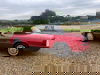 Alfa Romeo Spider Cloverleaf Petrol Injection S3 2dr Manual 2025