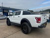Ford Ranger 2.0L Dirty Unicorn Wildtrak EcoBlue 4x4 Auto Diesel Automatic Euro 6 (209 bhp) 5dr Automatic 2025