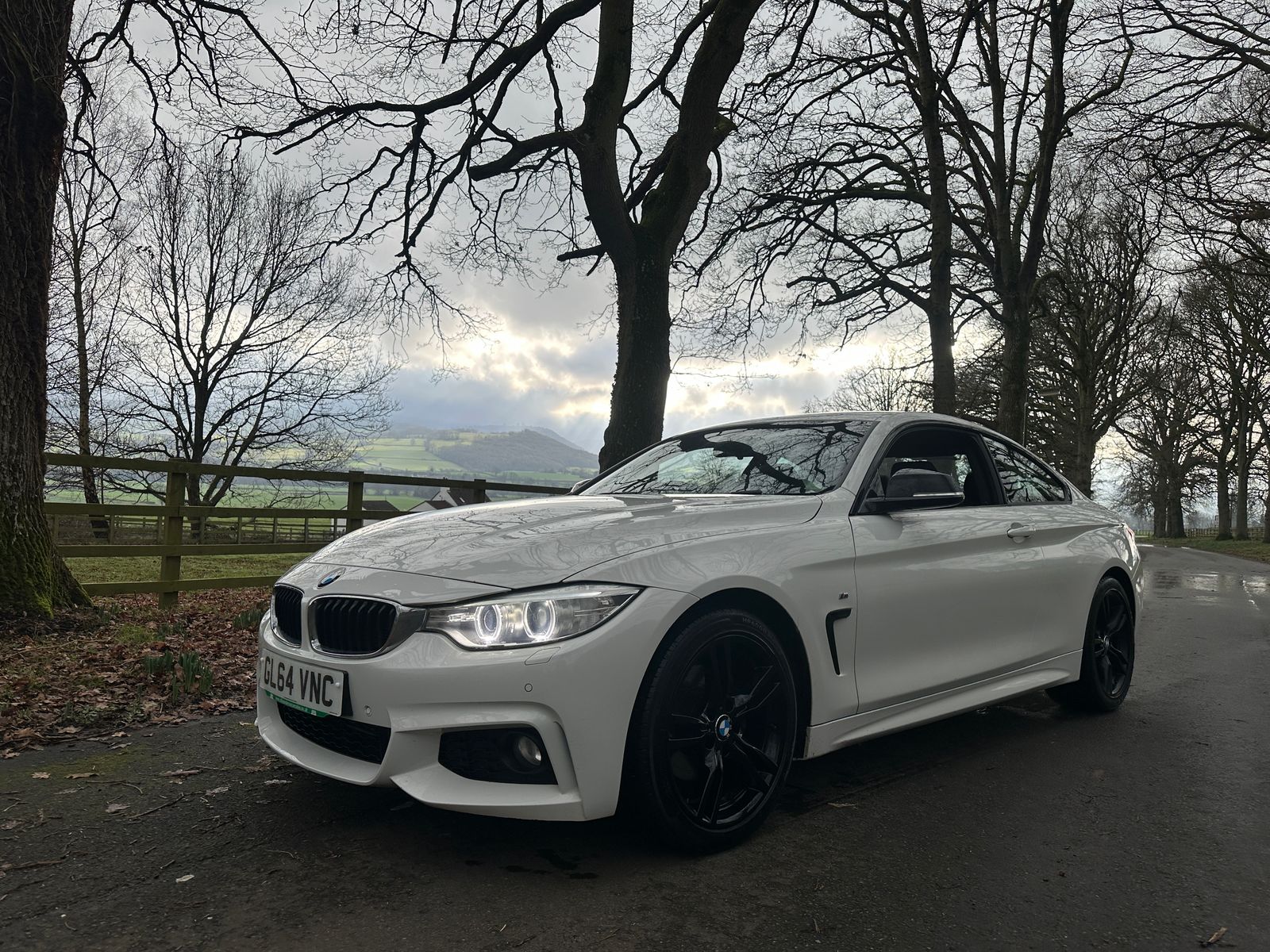 BMW 4 Series 2.0 420d M Sport Coupe 2dr Diesel Auto Euro 6 (s/s) (184 ps) 2dr Automatic 2014