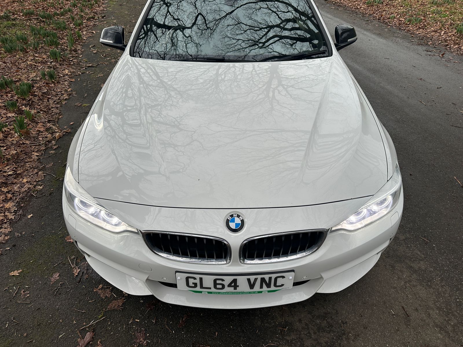 BMW 4 Series 2.0 420d M Sport Coupe 2dr Diesel Auto Euro 6 (s/s) (184 ps) 2dr Automatic 2014