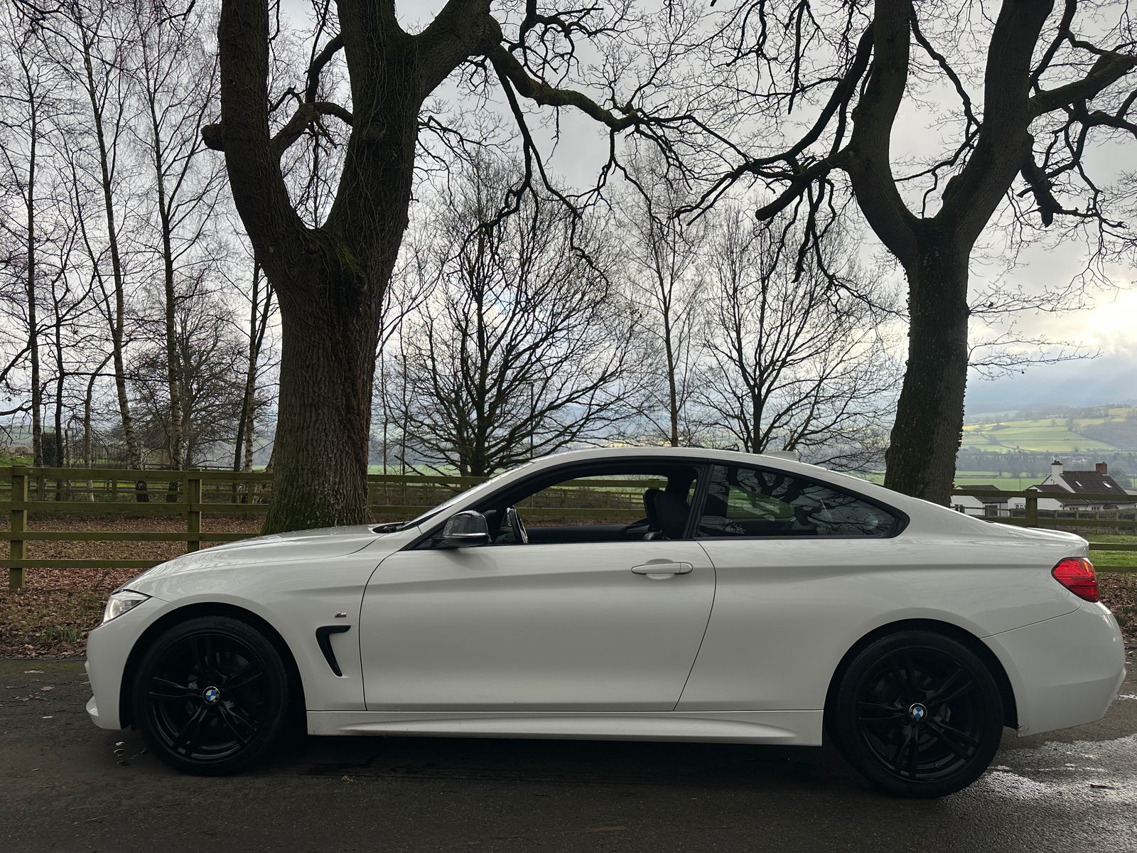 BMW 4 Series 2.0 420d M Sport Coupe 2dr Diesel Auto Euro 6 (s/s) (184 ps) 2dr Automatic 2014