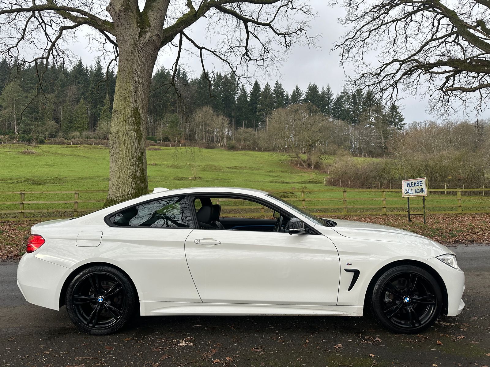 BMW 4 Series 2.0 420d M Sport Coupe 2dr Diesel Auto Euro 6 (s/s) (184 ps) 2dr Automatic 2014