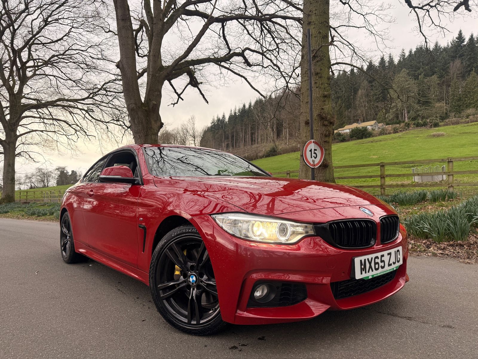 BMW 4 Series 3.0 435d M Sport Coupe 2dr Diesel Auto xDrive Euro 6 (s/s) (313 ps) 2dr Automatic 2015