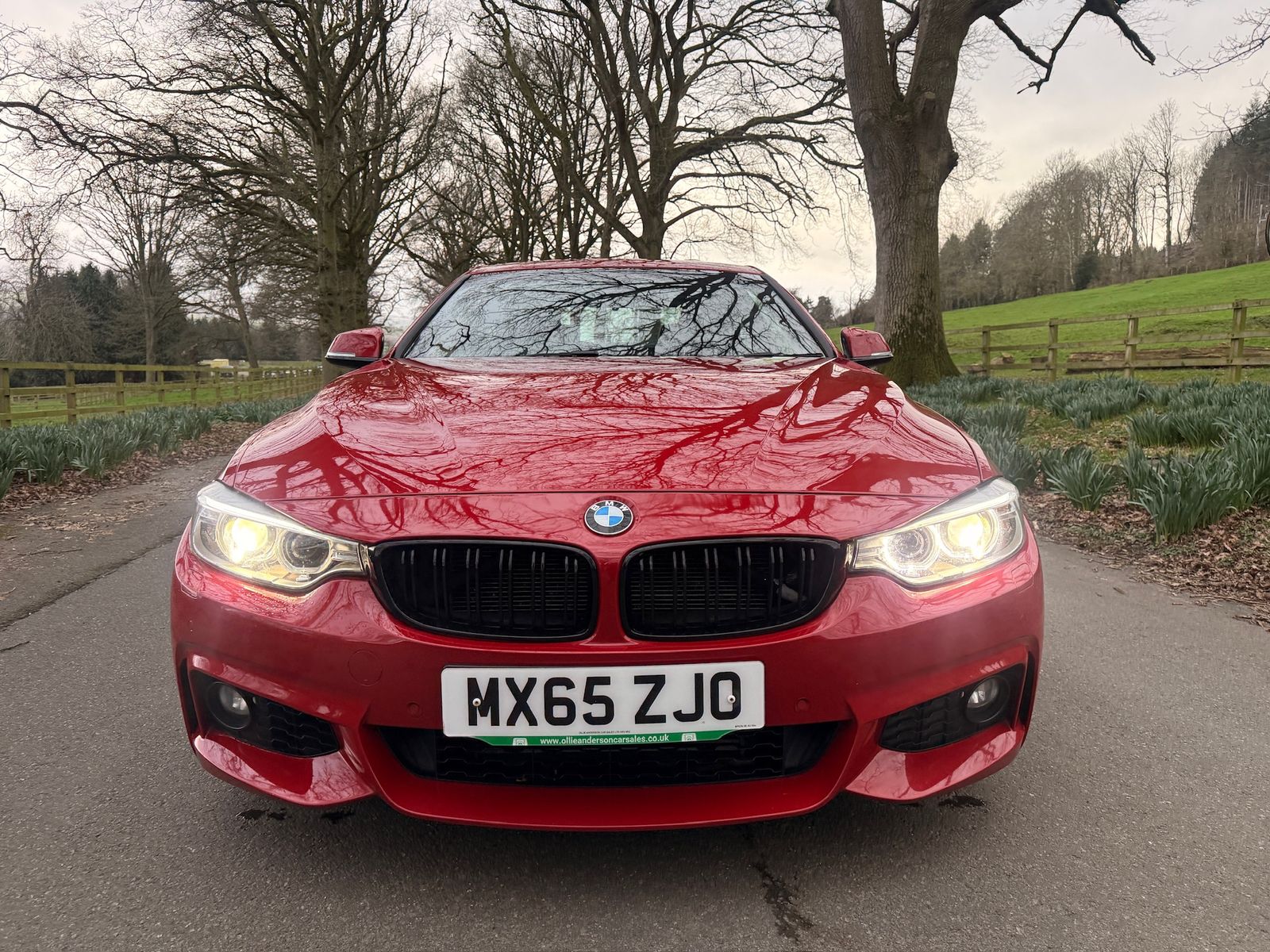 BMW 4 Series 3.0 435d M Sport Coupe 2dr Diesel Auto xDrive Euro 6 (s/s) (313 ps) 2dr Automatic 2015