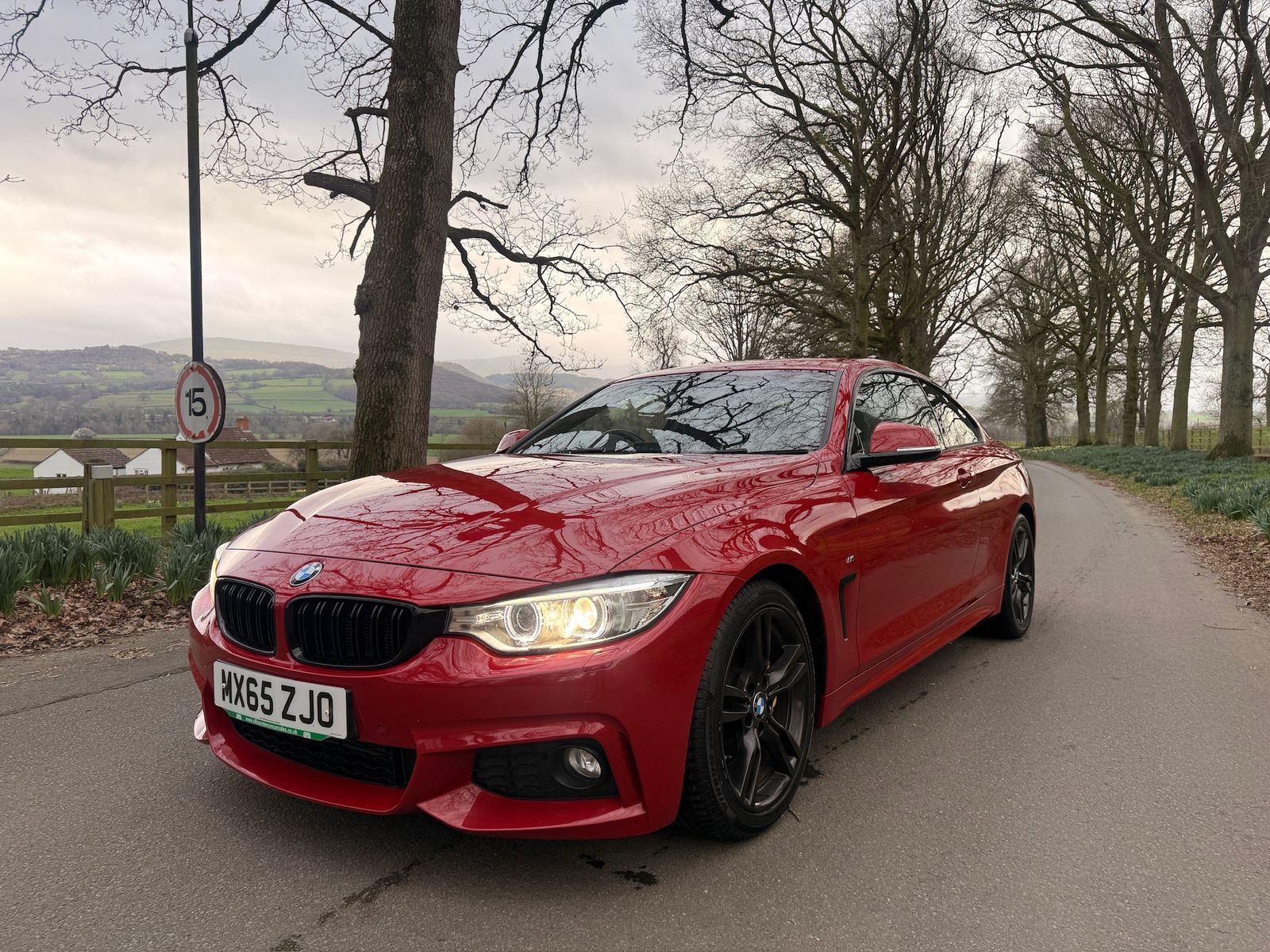 BMW 4 Series 3.0 435d M Sport Coupe 2dr Diesel Auto xDrive Euro 6 (s/s) (313 ps) 2dr Automatic 2015
