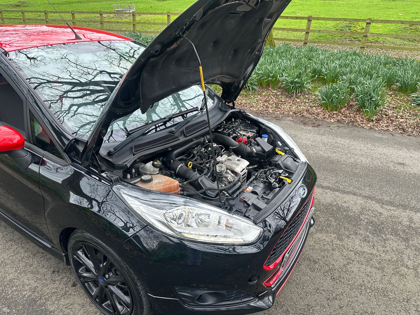 Ford Fiesta 1.0T EcoBoost Zetec S Hatchback 3dr Petrol Manual Euro 6 (s/s) (140 ps) 3dr Manual 2015