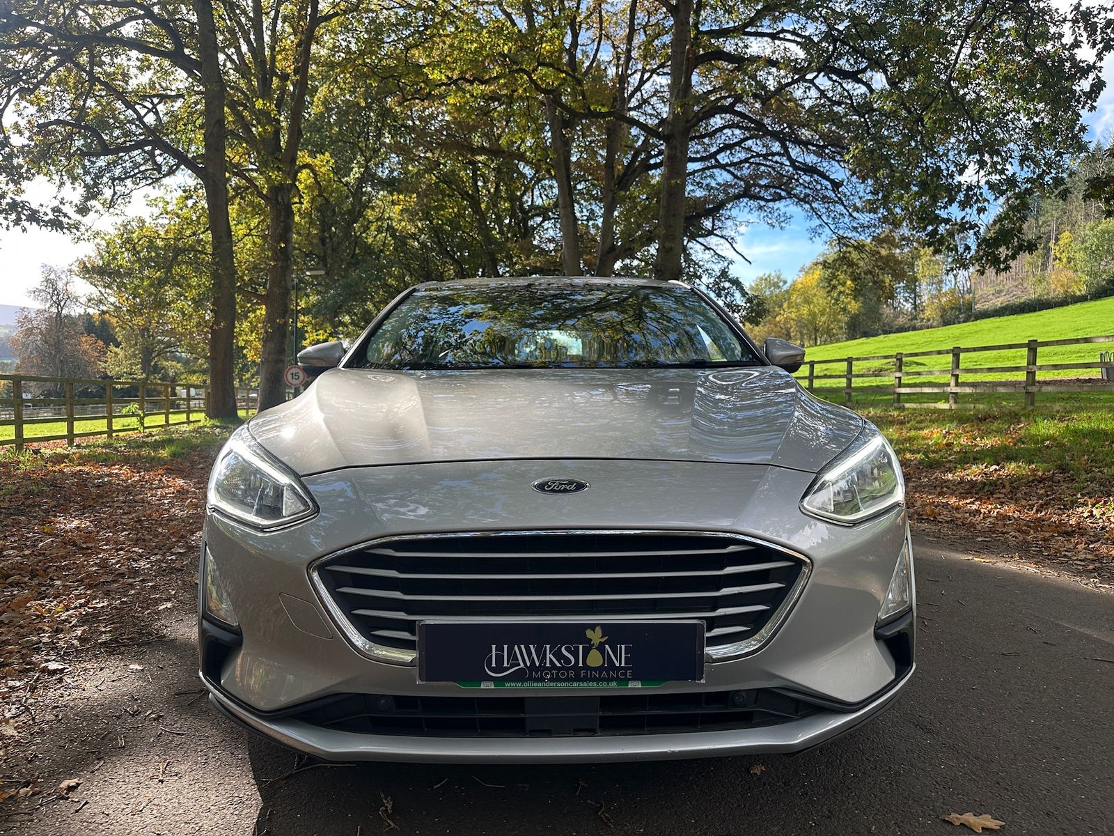 Ford Focus 1.5 EcoBlue Zetec Hatchback 5dr Diesel Manual Euro 6 (s/s) (120 ps) 5dr Manual 2019