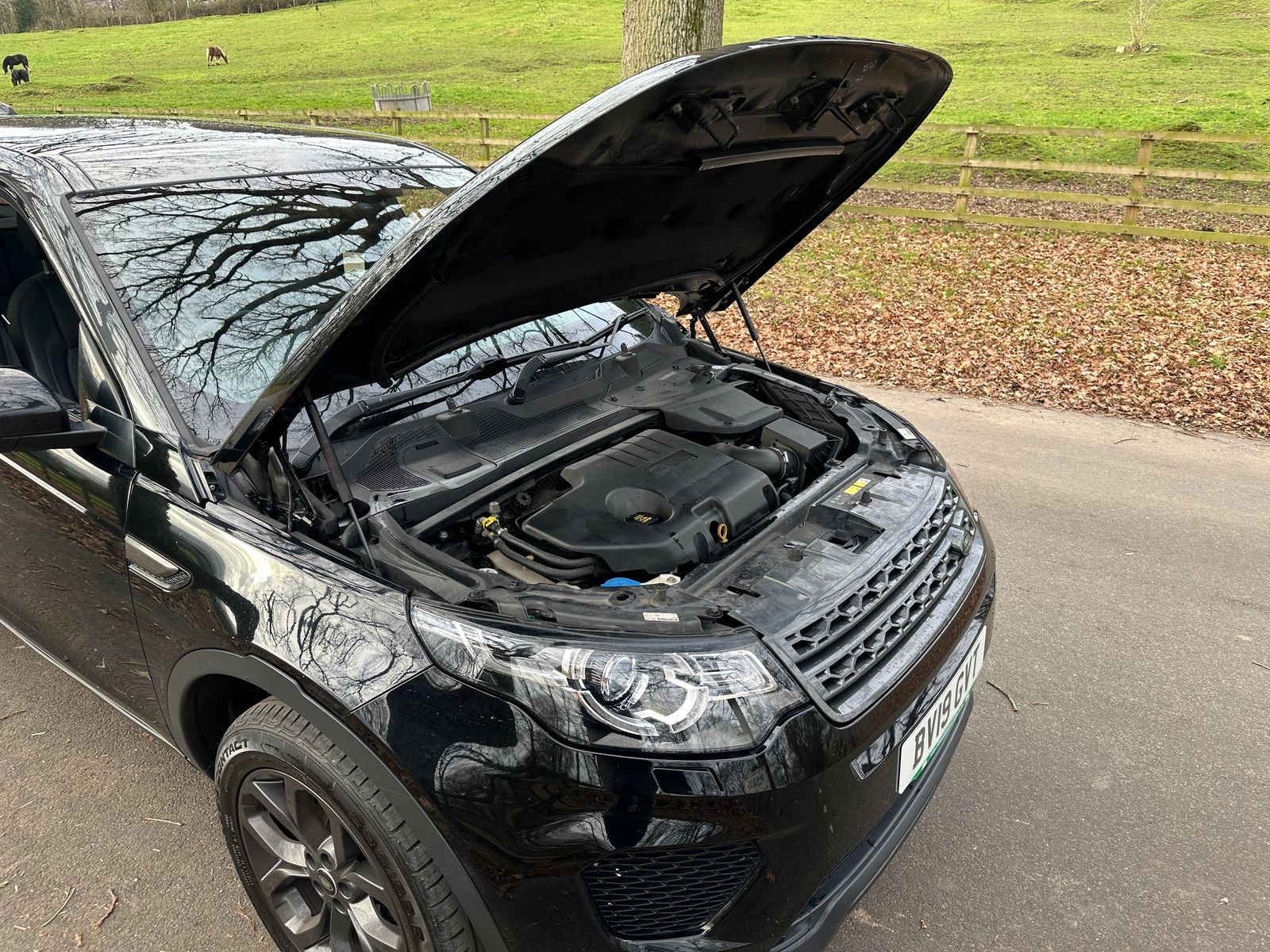 Land Rover Discovery Sport 2.0 TD4 Landmark SUV 5dr Diesel Auto 4WD Euro 6 (s/s) (180 ps) 5dr Automatic 2019