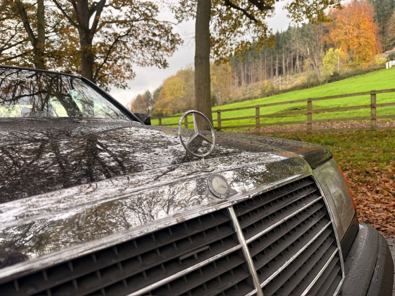 Mercedes-Benz 230 Black 4dr Automatic 1987