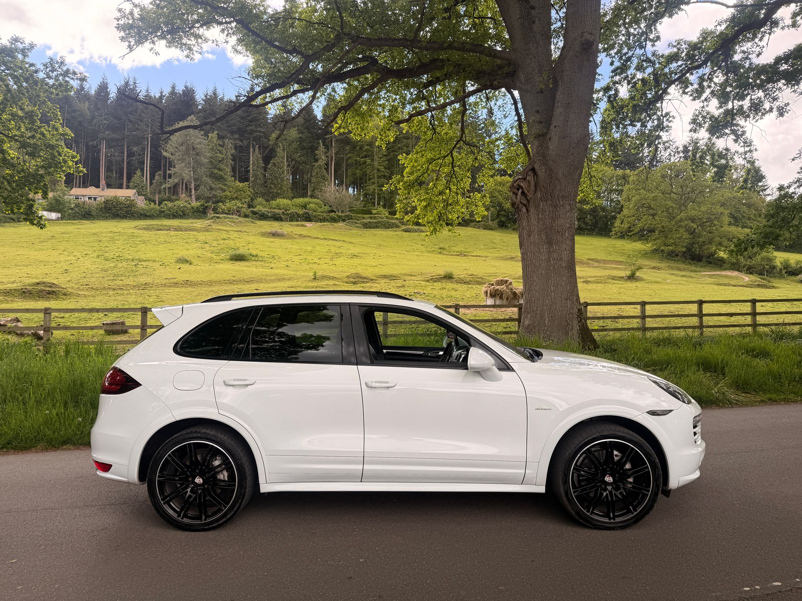 2014 Porsche Cayenne 4.2 TD V8 S SUV 5dr Diesel TiptronicS 4WD Euro 5 (s/s) (382 ps), exterior view 2