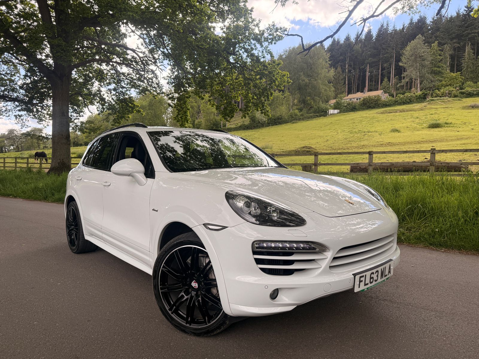 2014 Porsche Cayenne 4.2 TD V8 S SUV 5dr Diesel TiptronicS 4WD Euro 5 (s/s) (382 ps)