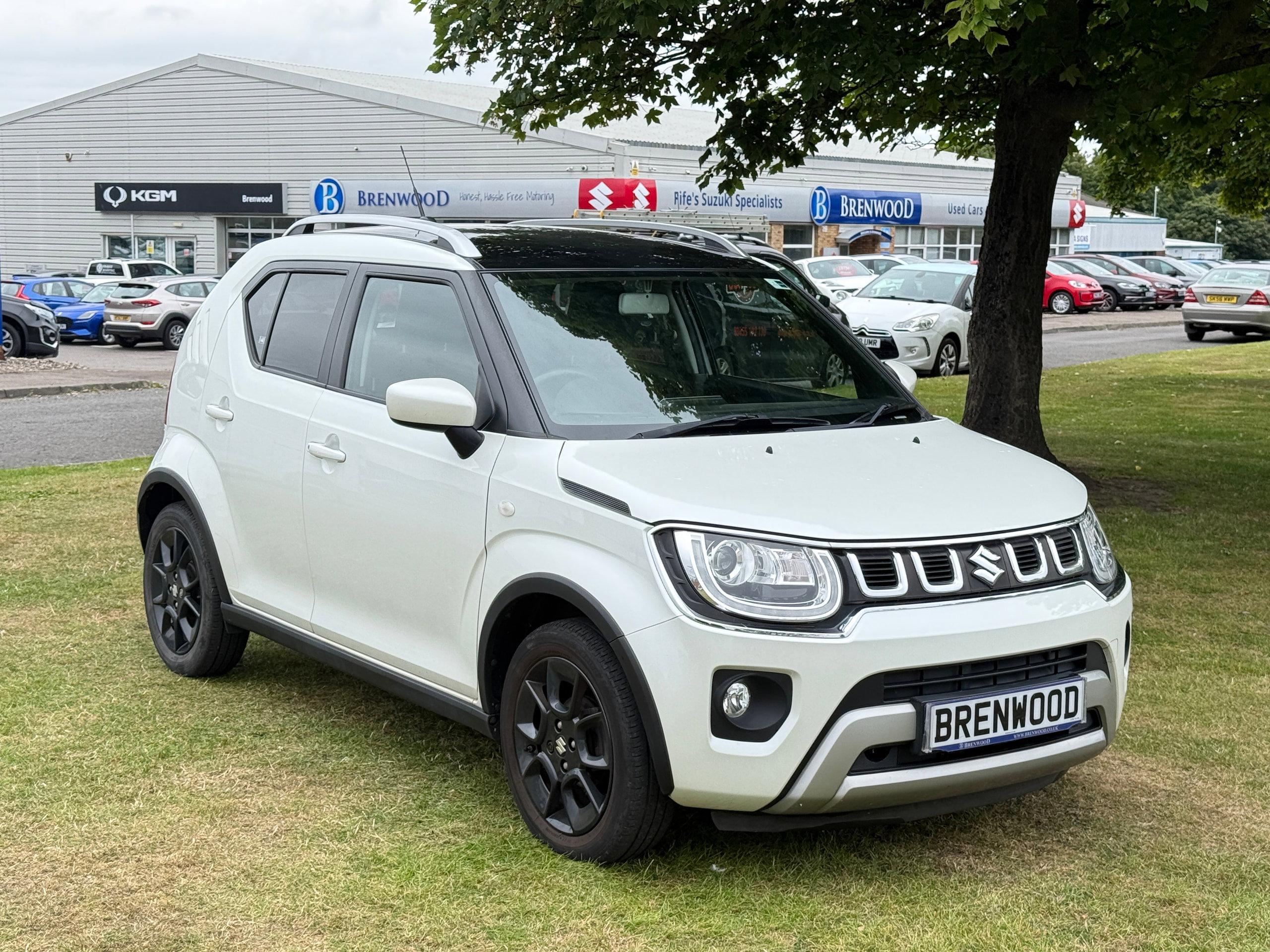 Suzuki Ignis