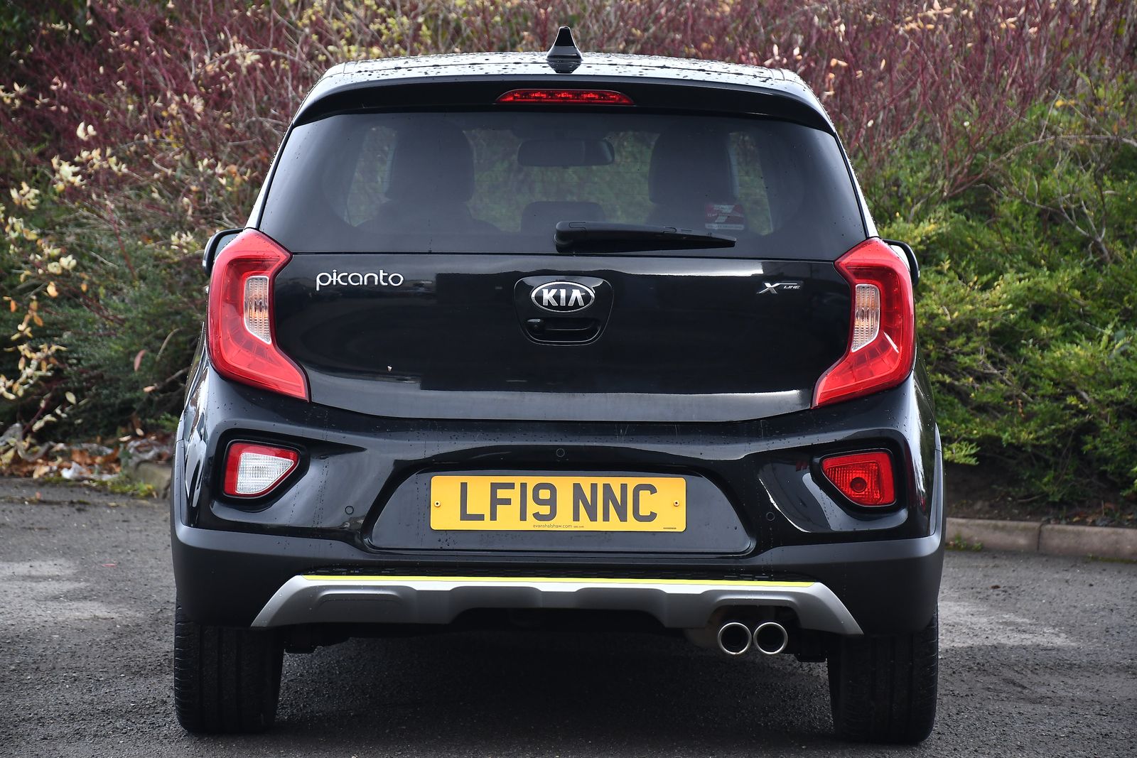 Kia Picanto 1.25 X-Line Hatchback 5dr Petrol Manual Euro 6 (83 bhp) 5dr Manual 2025