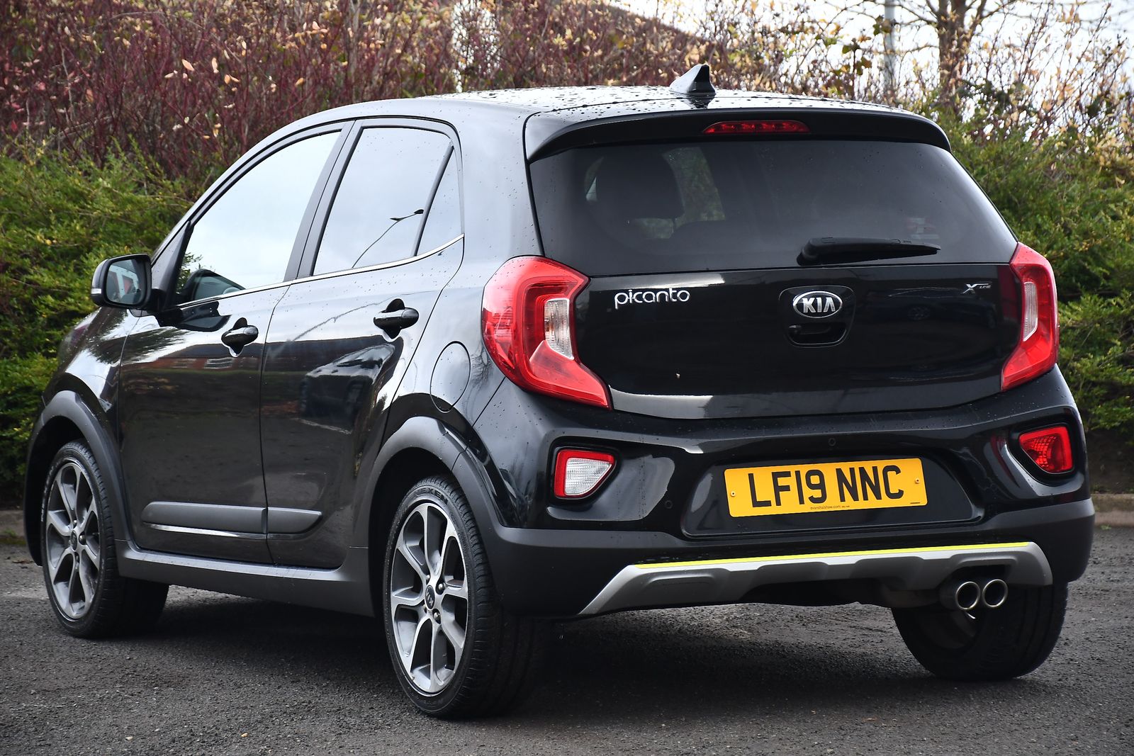 Kia Picanto 1.25 X-Line Hatchback 5dr Petrol Manual Euro 6 (83 bhp) 5dr Manual 2025