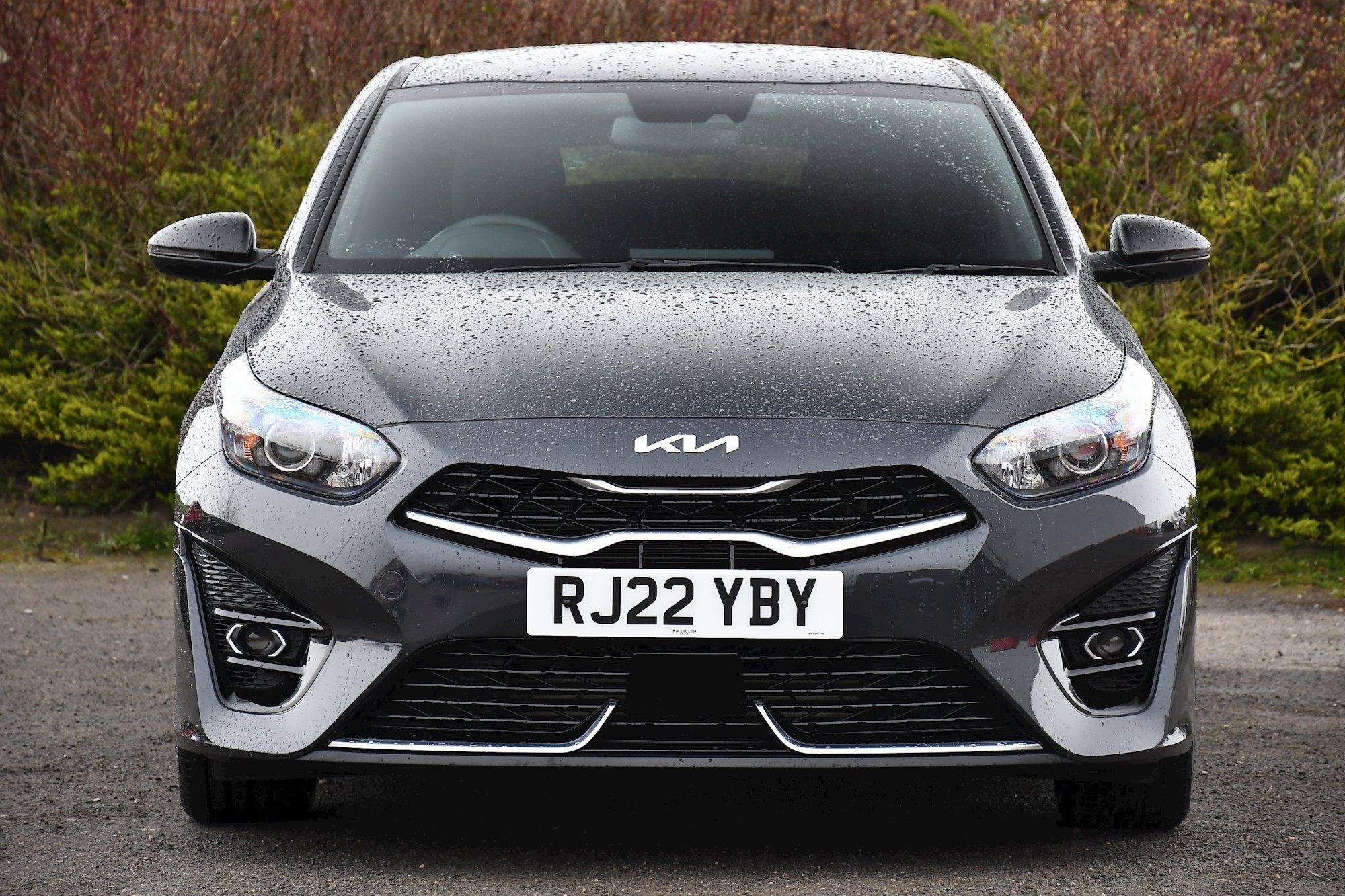 Kia ProCeed GT-Line 1.5 Petrol Manual review – Shooting brake lets you  proceed with confidence - Daily Record