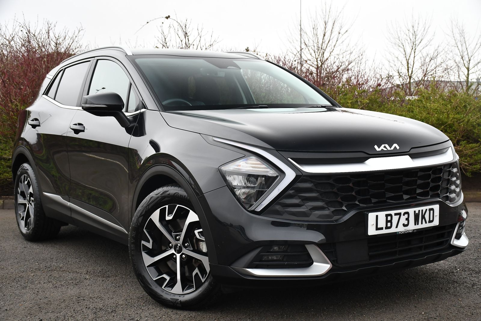 Kia Sportage 1.6 h T-GDi 3 SUV 5dr Petrol Hybrid Auto Euro 6 (s/s) (226 bhp) 5dr Automatic 2025