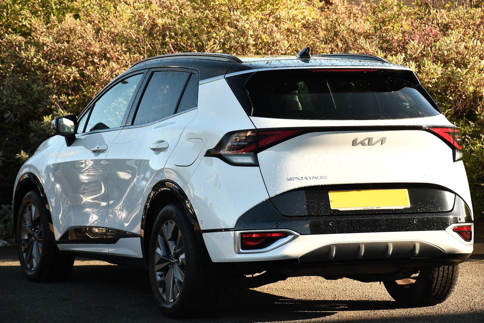 Kia Sportage 1.6 h T-GDi GT-Line S SUV 5dr Petrol Hybrid Auto Euro 6 (s/s) (226 bhp) 5dr Automatic 2025