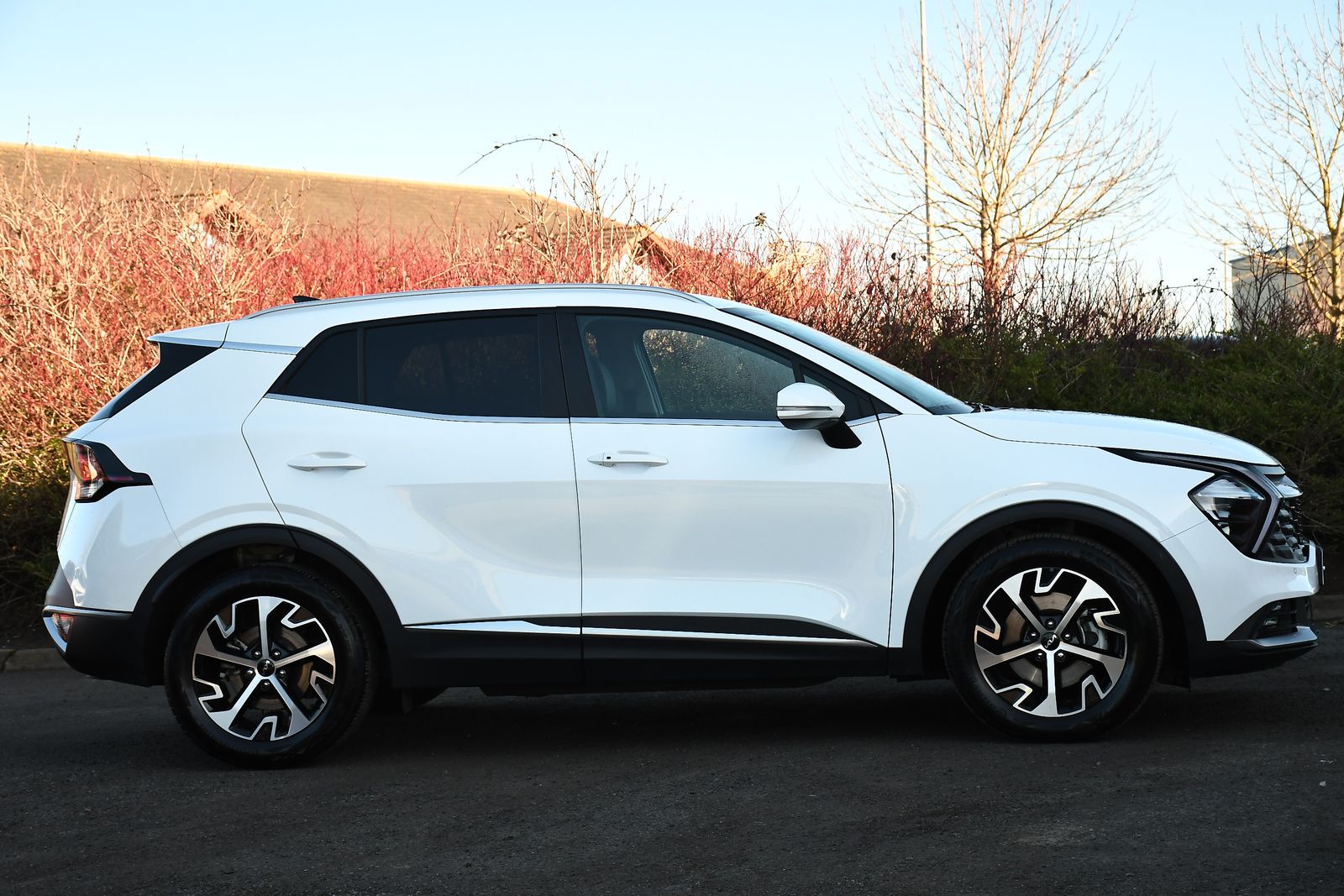 Kia Sportage 1.6 T-GDi MHEV 3 SUV 5dr Petrol Hybrid DCT Euro 6 (s/s) (148 bhp) 5dr Automatic 2025