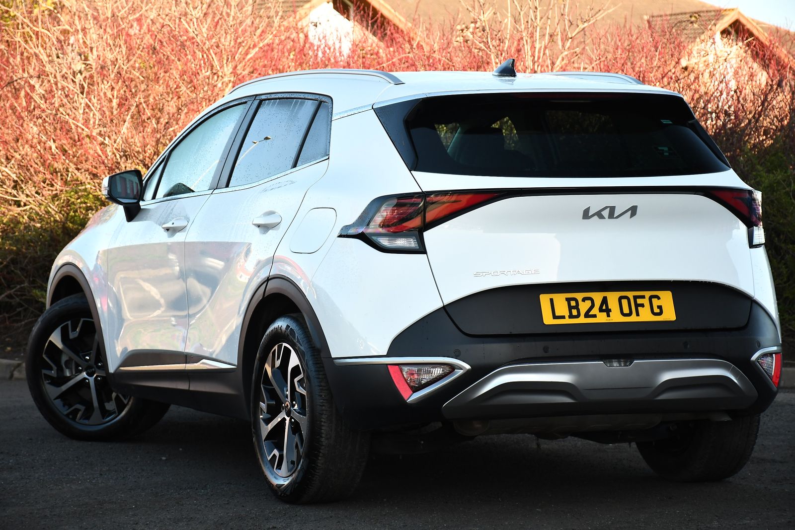Kia Sportage 1.6 T-GDi MHEV 3 SUV 5dr Petrol Hybrid DCT Euro 6 (s/s) (148 bhp) 5dr Automatic 2025