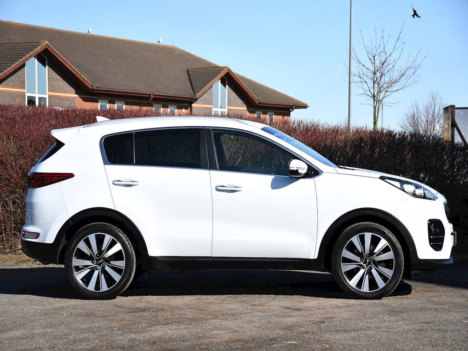 Kia Sportage CRDI 3 ISG 5dr Manual 2025