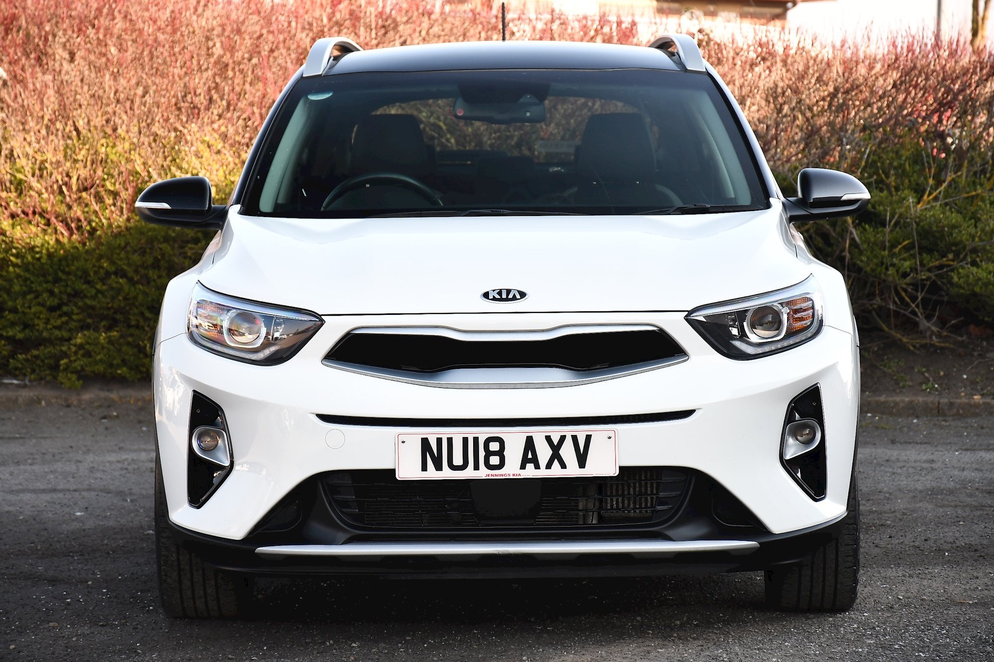 Used Kia Stonic 1.6 CRDi First Edition SUV 5dr Diesel (s/s) (108 bhp) 2018  5dr Manual (NU18AXV)
